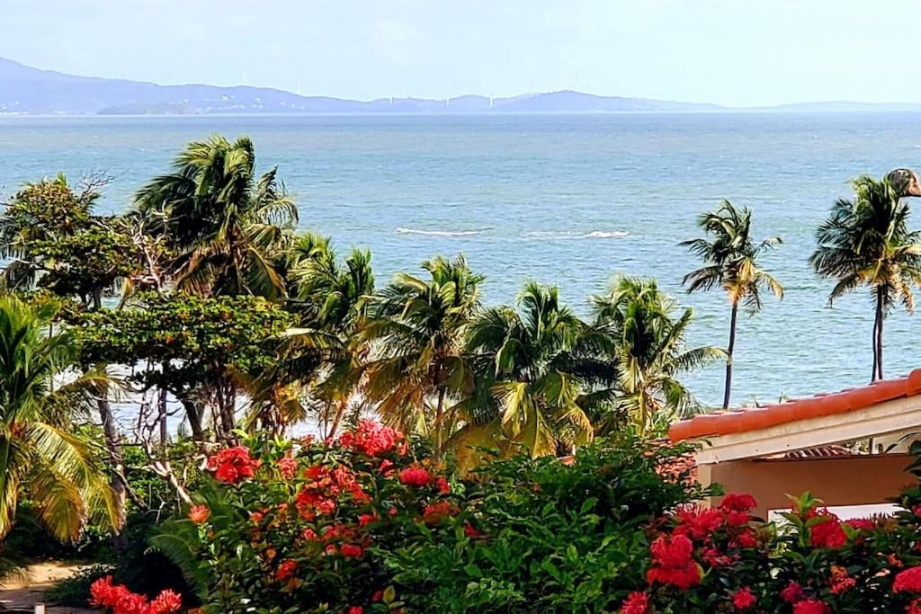 Portobello Palmanova, Palmas Del Mar, Humacao, Pr Exterior photo